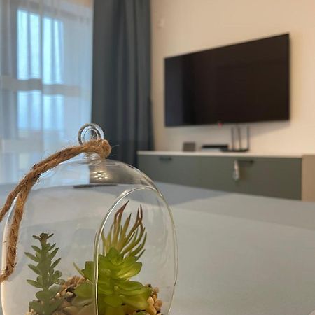 New Studio Pitesti Luaran gambar
