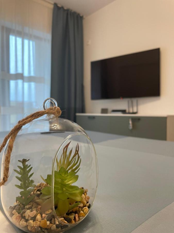 New Studio Pitesti Luaran gambar